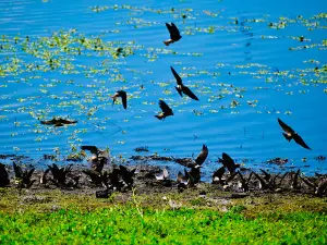 Lucerne Harbor Park | Lake County Parks