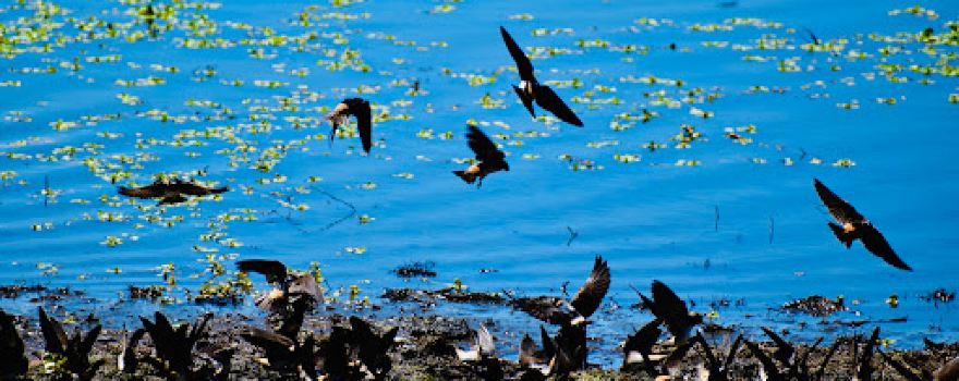 Lucerne Harbor Park | Lake County Parks