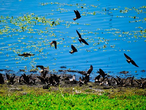 Lucerne Harbor Park | Lake County Parks