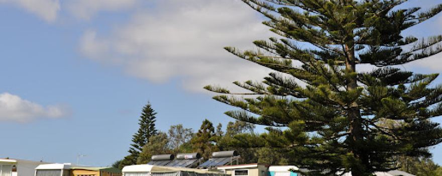 Urenui Beach Camp & Store