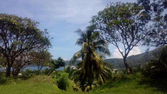 Japanese Peace Memorial