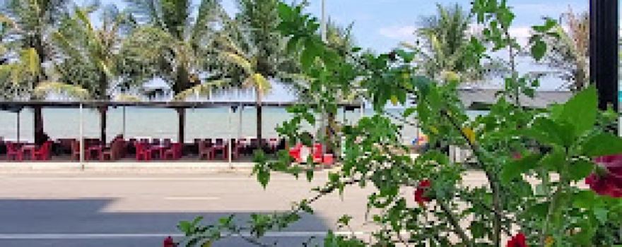 Biển Hải Tiến - Thanh Hóa