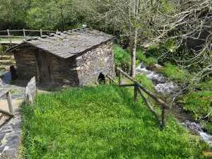 Ecomuseo del Pan