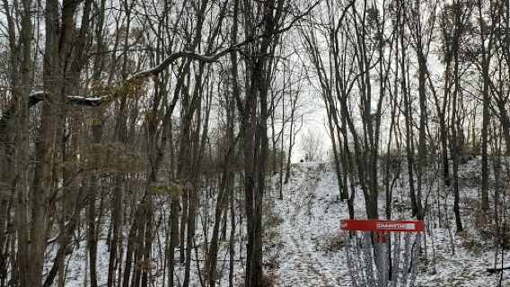 Hammond Hills Disc Golf Course