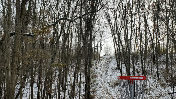 Hammond Hills Disc Golf Course
