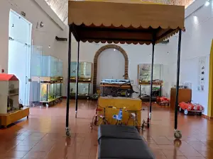 Museu de (A) Brincar de Arronches