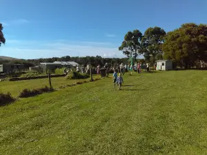 Buckley Park Community Farm