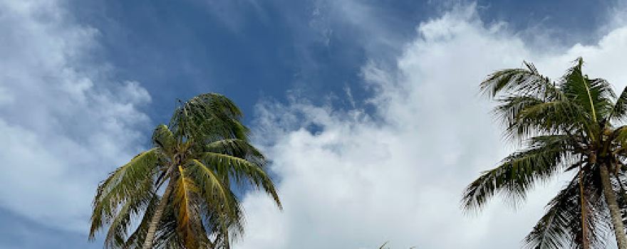 Playa Coveñas