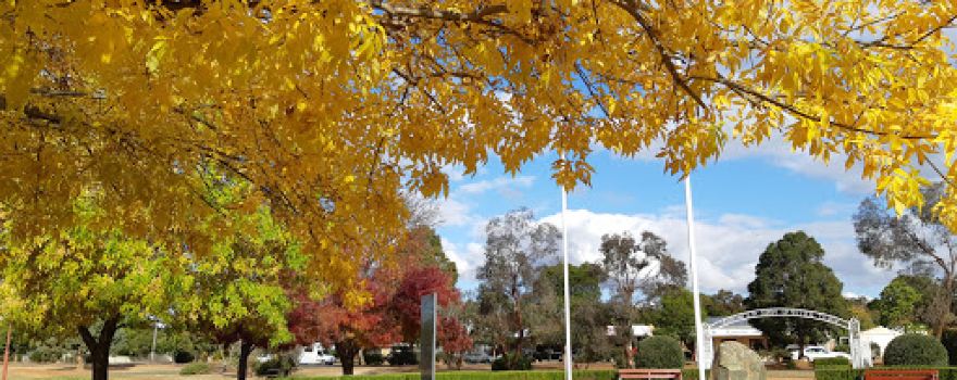 Darkan Skate Park