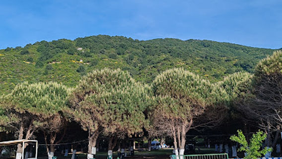 Çamlıkaltı Camping Cafe