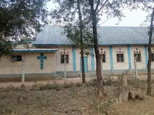 Parokia ya Bikira Maria - Ngudu