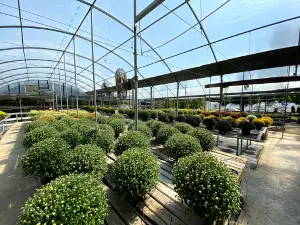 Bennett Nurseries