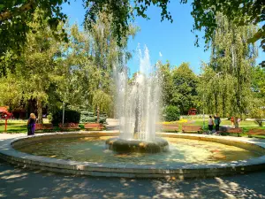 Lilly of the Valley Park
