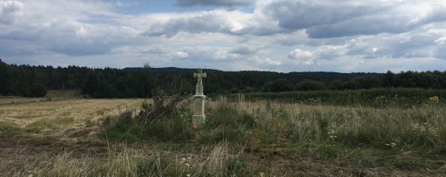 Rezerwat Źródła Tanwi.Ścieżka przyrodniczo-dydaktyczna Kobyle Jezioro.