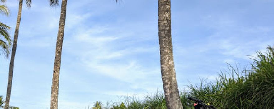 Taman Wisata Kendalisongo