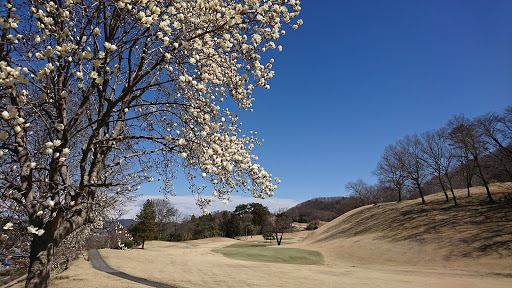 Ohiradai Country Club Golf