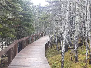 Deep Cove Historical Walking Trail