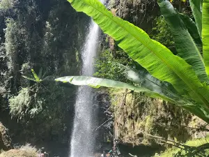 Ragia Forest