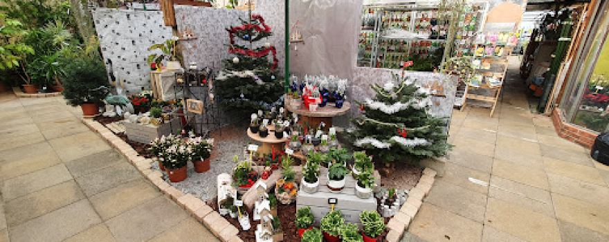 LE P'TIT JARDINIER