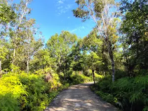 Jogging Track of Iskandar Airbase Pangkalan Bun