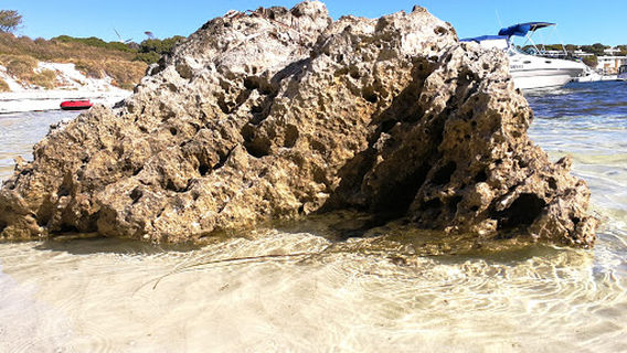 Đảo Rottnest