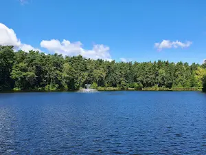 Ośrodek Wypoczynkowy "Wilga" w Golejowie