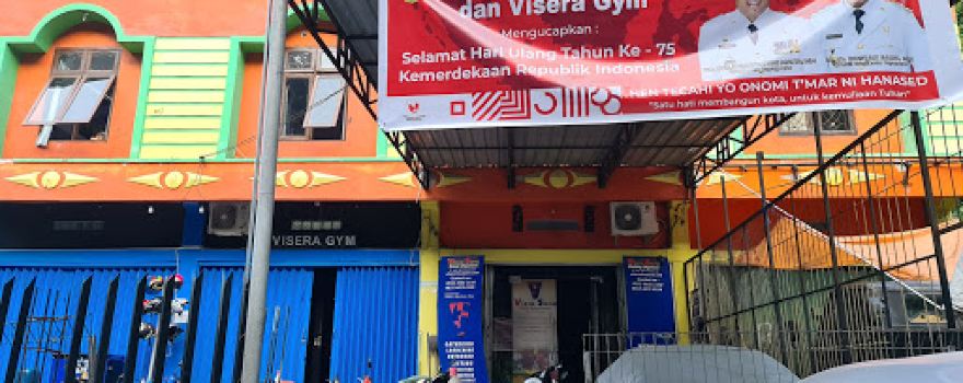 VISERA GYM