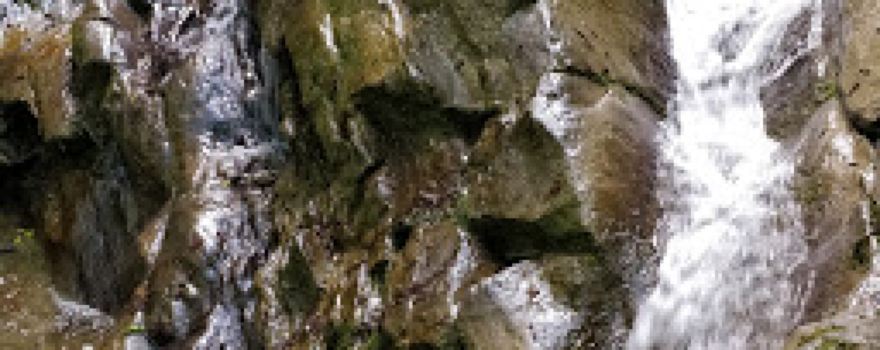 Laghetti Lecchiore