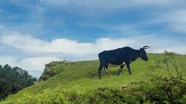Sailungeshwor Mahadev