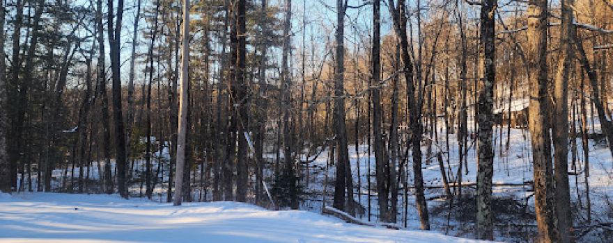 Moses Scout Reservation