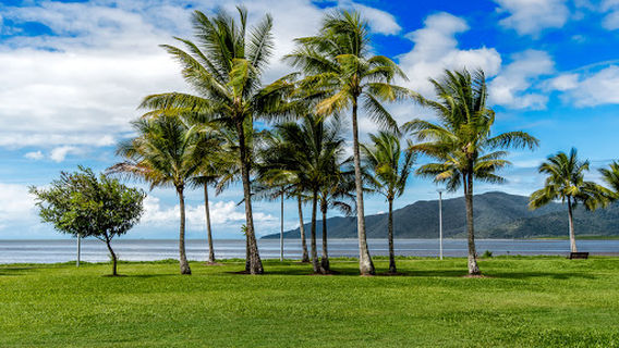 Cairns Esplanade Charles Street Parkland