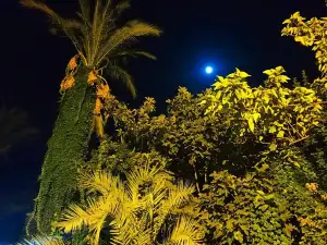 Karaoğlanoğlu Parkı