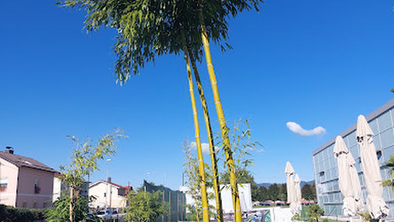 Športno društvo studenci Maribor