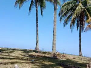 Pantai Harapan Pajalele