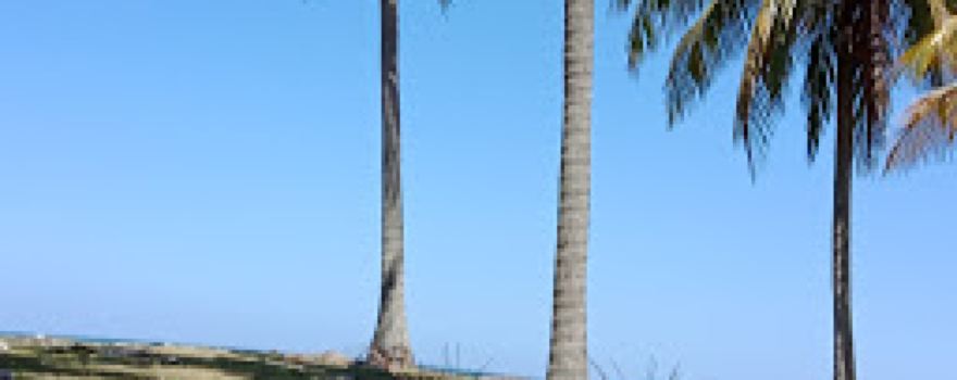 Pantai Harapan Pajalele