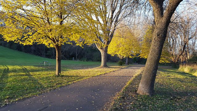 Bassett Creek Disc Golf Course