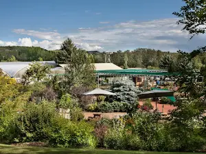 Parkland Nurseries & Garden Centre