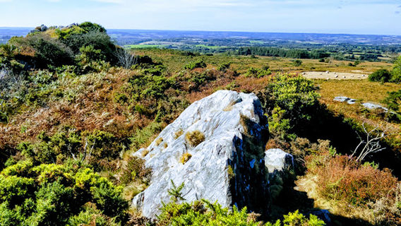 Domaine de Menez Meur
