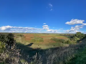 Wieża widokowa w Gródku