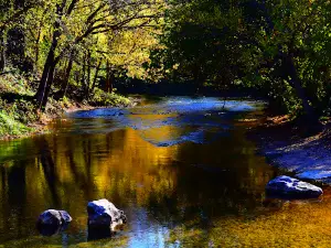Cotter Spring