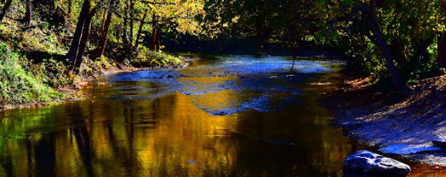 Cotter Spring