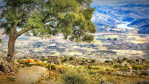 Baloiço do Sobreiro