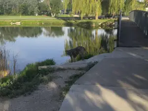 Jack Siebert's Park