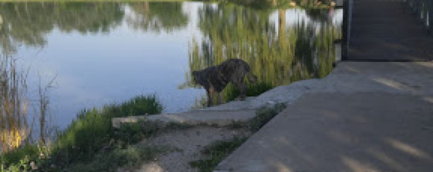 Jack Siebert's Park