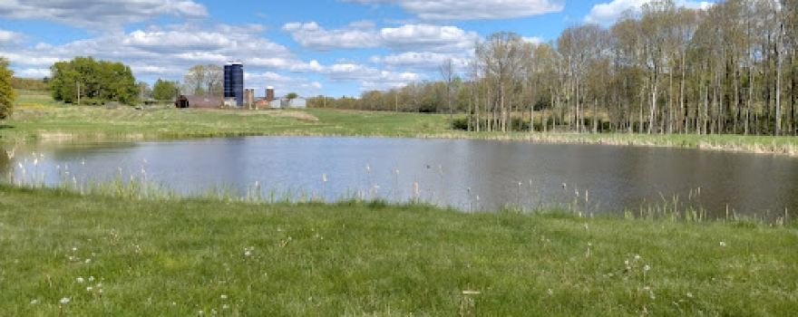 Campsite Disc Golf Course
