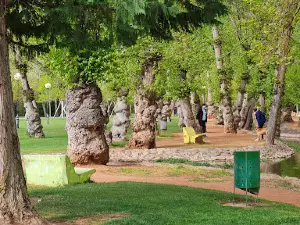 Cidacos Park