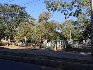Don Alberto Park
