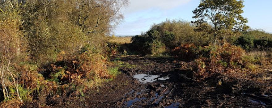Glasson Moss Nature Reserve