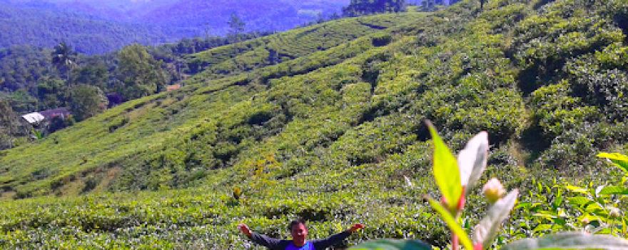 Gardu Pandang Jolotigo