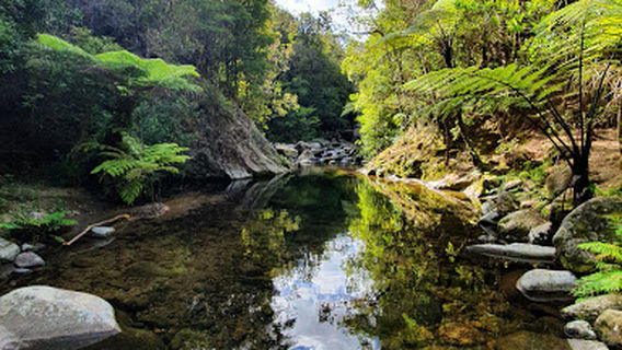 Wentworth Falls Walk